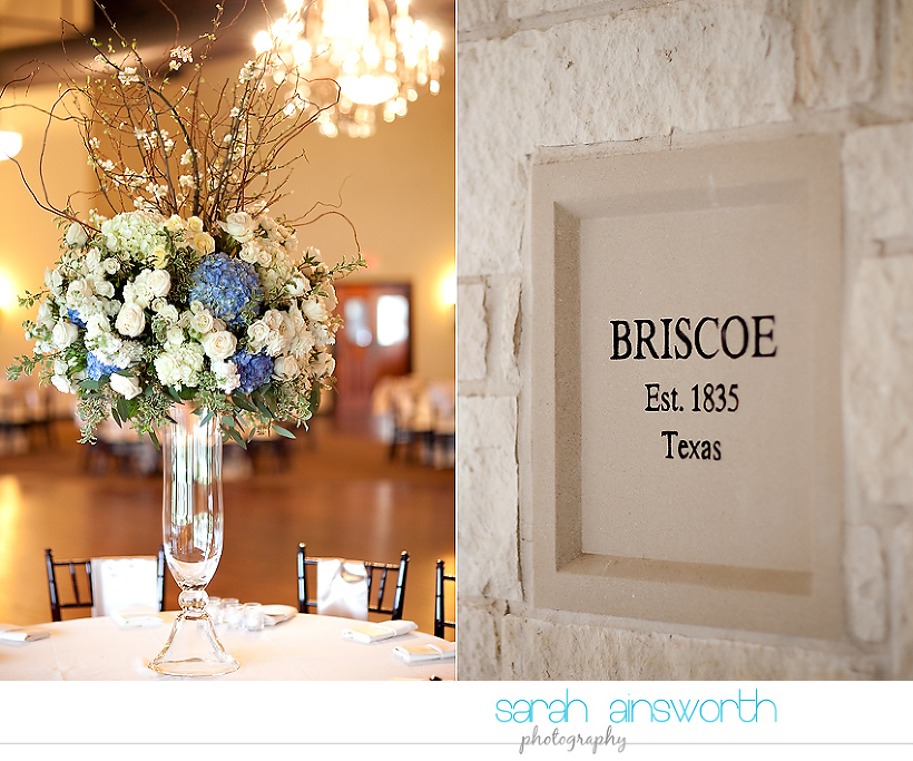 houston-wedding-photographer-briscoe-manor-wedding-alyssa-jr02